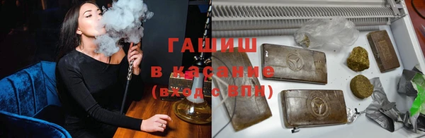 твердый Заводоуковск