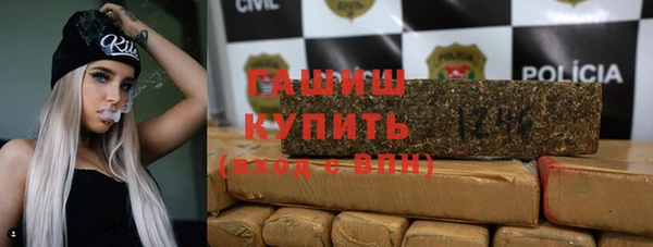 твердый Заводоуковск