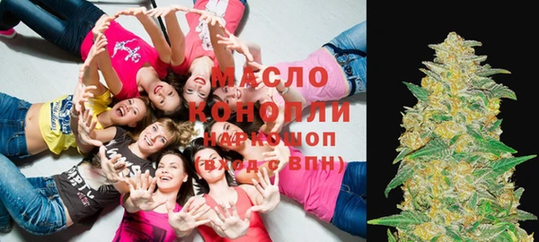 твердый Заводоуковск