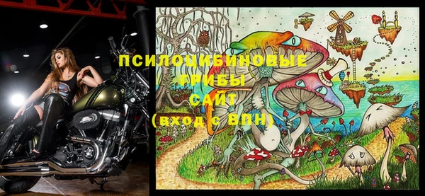твердый Заводоуковск