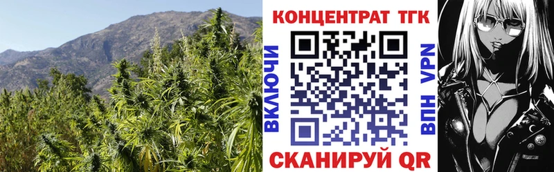 ТГК Wax  Купить где  Пятигорск 